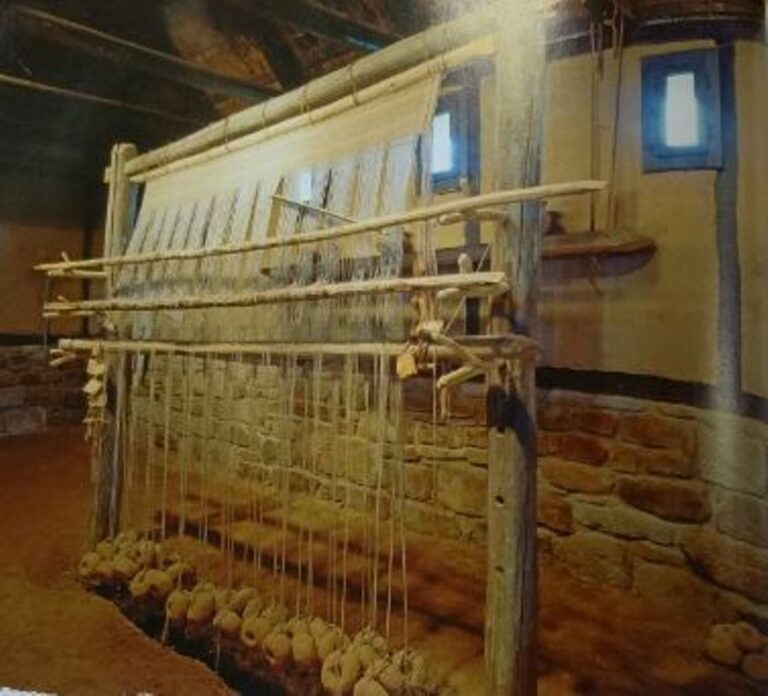 Unknown History of Wool